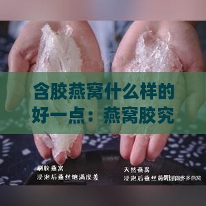 含胶燕窝什么样的好一点：燕窝胶究竟是什么？