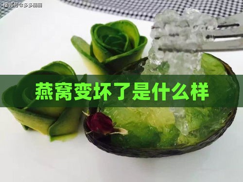 燕窝变坏了是什么样