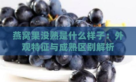 燕窝果没熟是什么样子：外观特征与成熟区别解析