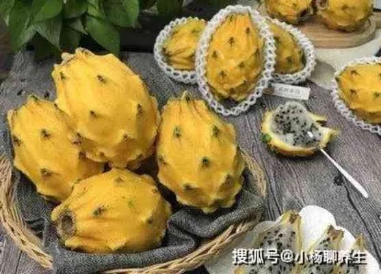 燕窝果变质特征解析：如何识别坏掉的燕窝果？