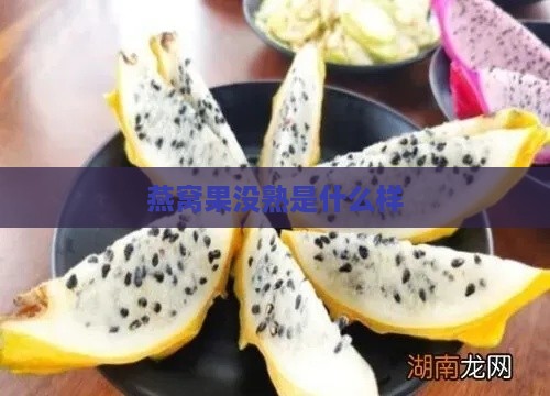 燕窝果没熟是什么样