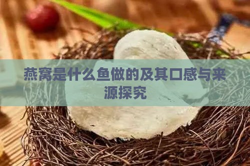 燕窝是什么鱼做的及其口感与来源探究