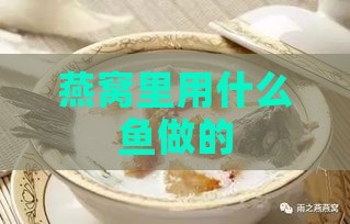 燕窝里用什么鱼做的