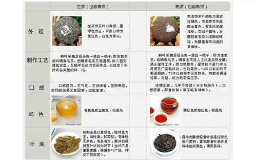 中燕燕窝饮用更佳时间与全效指南：全面解答食用时机及营养吸收疑问