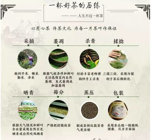 中燕燕窝饮用更佳时间与全效指南：全面解答食用时机及营养吸收疑问