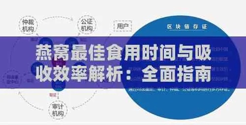 中燕燕窝饮用更佳时间与全效指南：全面解答食用时机及营养吸收疑问