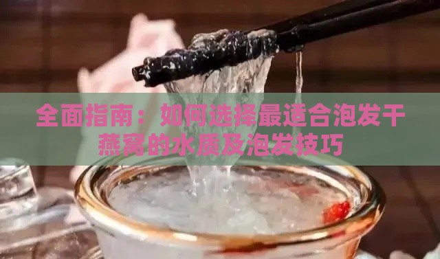 全面指南：如何选择最适合泡发干燕窝的水质及泡发技巧