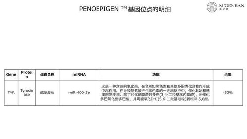 深入了解燕窝：五行解析与全方位功效探究