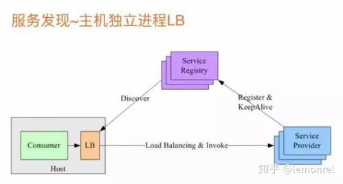 深入了解燕窝：五行解析与全方位功效探究