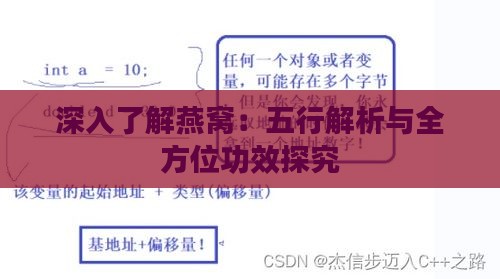 深入了解燕窝：五行解析与全方位功效探究