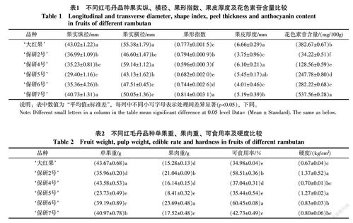 燕窝2a、6a等级解析：全面了解燕窝品质、大小与营养价值差异