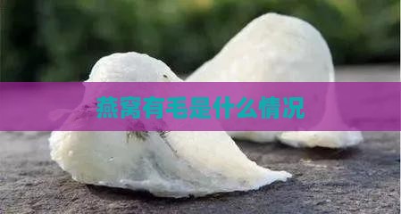 燕窝有毛是什么情况