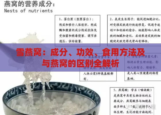 雪燕窝：成分、功效、食用方法及与燕窝的区别全解析