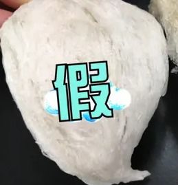 雪燕窝是什么样子的