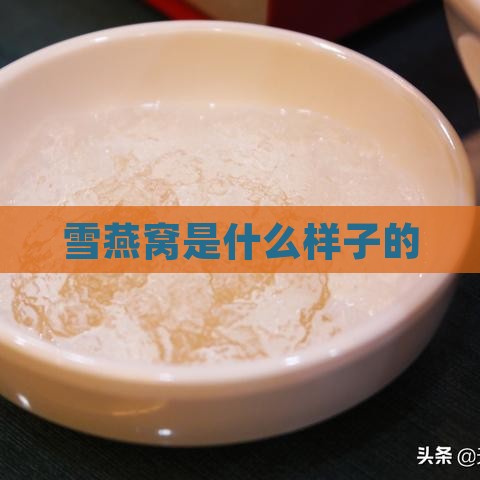 雪燕窝是什么样子的