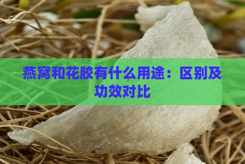 燕窝和花胶有什么用途：区别及功效对比