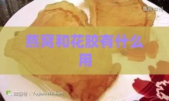 燕窝和花胶有什么用