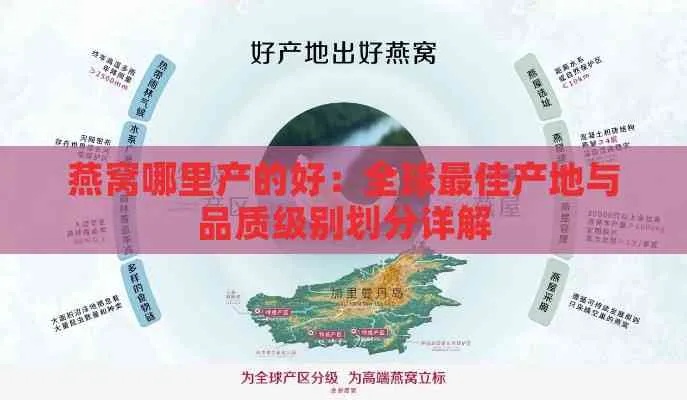 引领产区时代：全球首份燕窝等级划分标准助力产业高质量发展