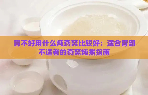 胃不好用什么炖燕窝比较好：适合胃部不适者的燕窝炖煮指南