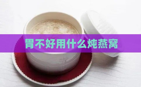 胃不好用什么炖燕窝