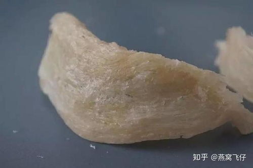 燕窝挂浆刷胶用什么