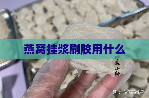 燕窝挂浆刷胶用什么