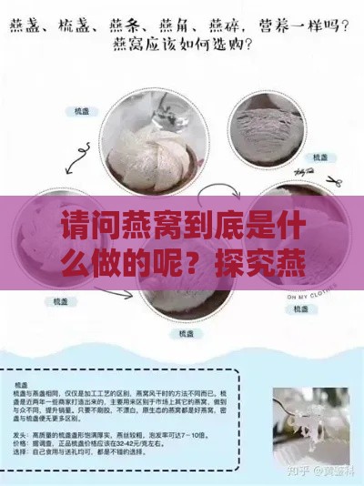 请问燕窝到底是什么做的呢？探究燕窝成分之谜