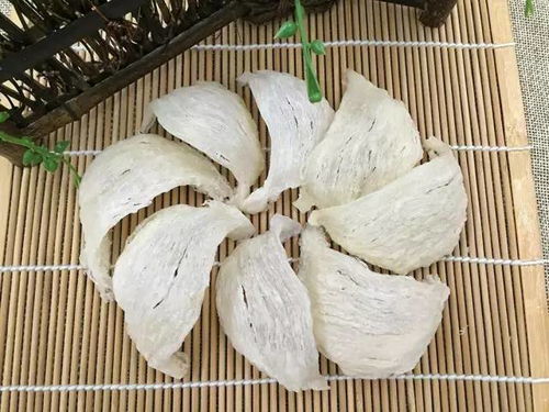 参哥卖的什么燕窝好