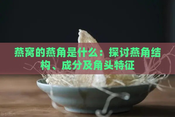 燕窝的燕角是什么：探讨燕角结构、成分及角头特征