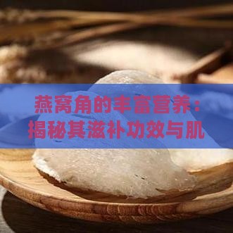 燕窝角的丰富营养：揭秘其滋补功效与肌肤焕发秘密