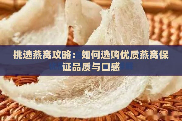 挑选燕窝攻略：如何选购优质燕窝保证品质与口感