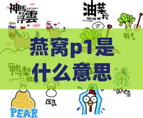 燕窝p1是什么意思呀：网络用语燕窝s和pn1含义解析