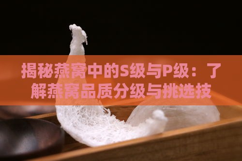 揭秘燕窝中的S级与P级：了解燕窝品质分级与挑选技巧