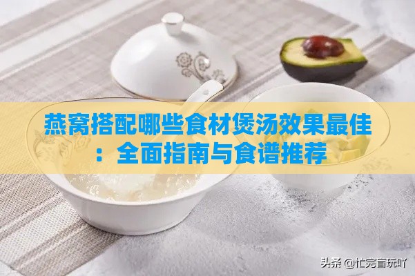 燕窝搭配哪些食材煲汤效果更佳：全面指南与食谱推荐