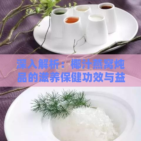 深入解析：椰汁燕窝炖品的滋养保健功效与益处