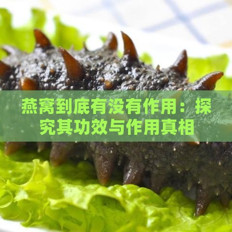 燕窝到底有没有作用：探究其功效与作用真相