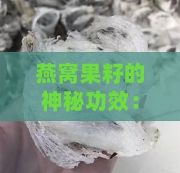 燕窝果籽的神秘功效：揭秘其营养与保健用途