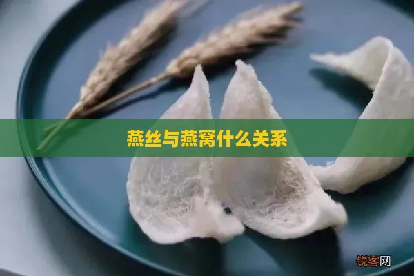 燕丝与燕窝什么关系