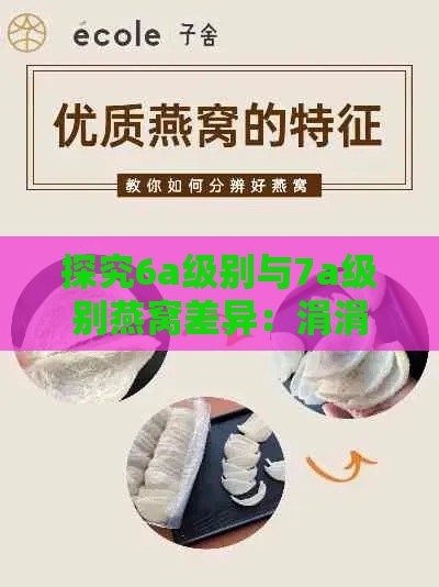 探究6a级别与7a级别燕窝差异：涓涓细流揭秘燕窝品质之谜