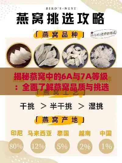 揭秘燕窝中的6A与7A等级：全面了解燕窝品质与挑选指南