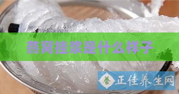 燕窝挂浆是什么样子