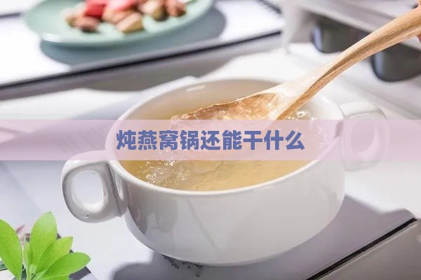 炖燕窝锅还能干什么