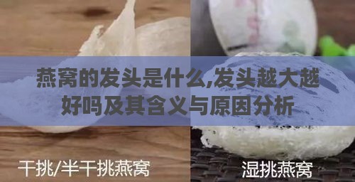 燕窝的发头是什么,发头越大越好吗及其含义与原因分析