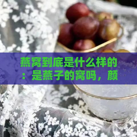 燕窝到底是什么样的：是燕子的窝吗，颜色如何，具体是什么样子？