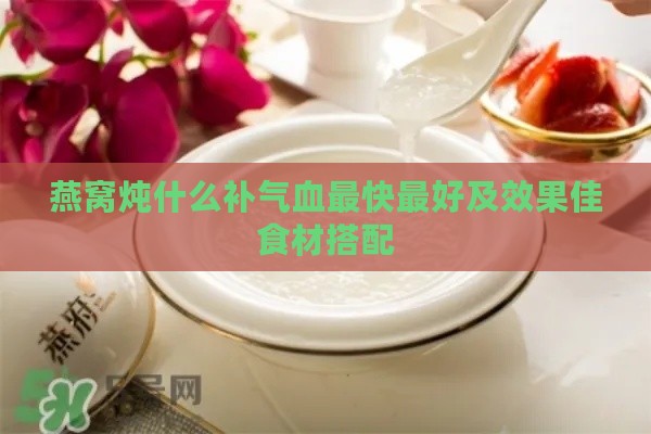 燕窝炖什么补气血最快更好及效果佳食材搭配