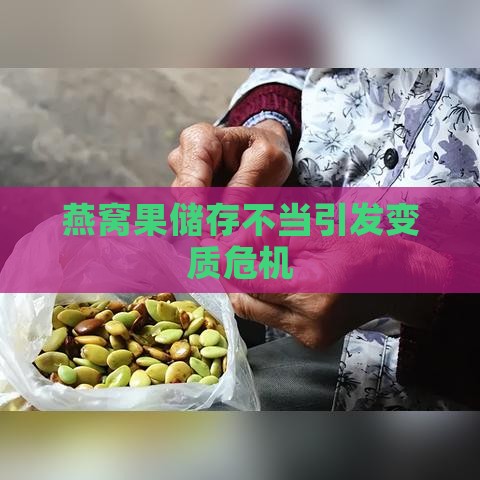 燕窝果储存不当引发变质危机