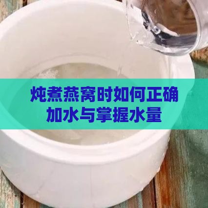 炖煮燕窝时如何正确加水与掌握水量