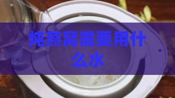 炖燕窝需要用什么水