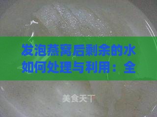 发泡燕窝后剩余的水如何处理与利用：全方位指南