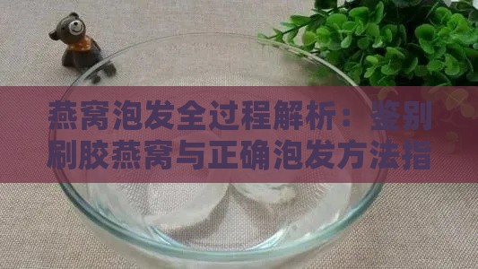 燕窝泡发全过程解析：鉴别刷胶燕窝与正确泡发方法指南